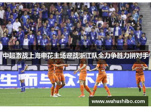 中超激战上海申花主场迎战浙江队全力争胜力拼对手