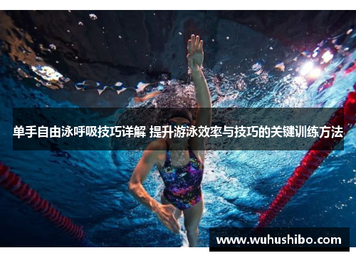 单手自由泳呼吸技巧详解 提升游泳效率与技巧的关键训练方法