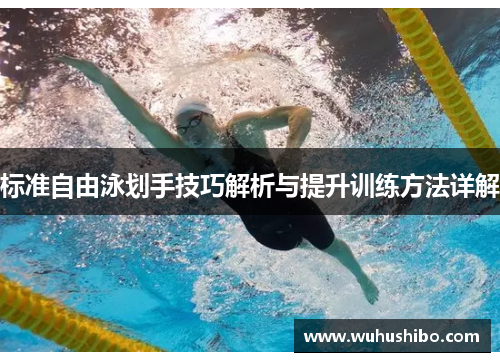 标准自由泳划手技巧解析与提升训练方法详解