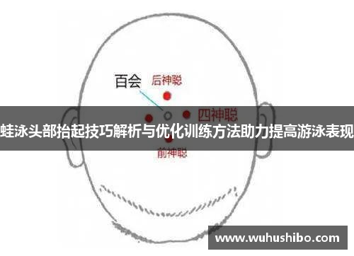 蛙泳头部抬起技巧解析与优化训练方法助力提高游泳表现