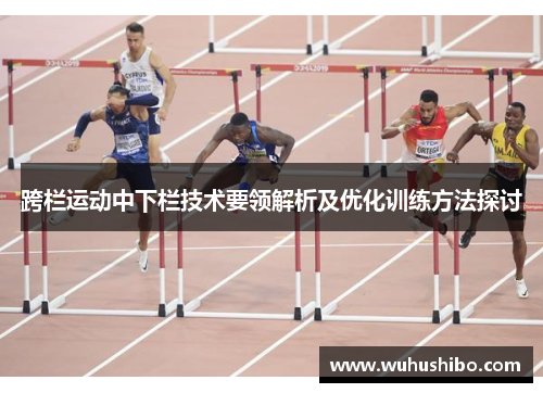 跨栏运动中下栏技术要领解析及优化训练方法探讨