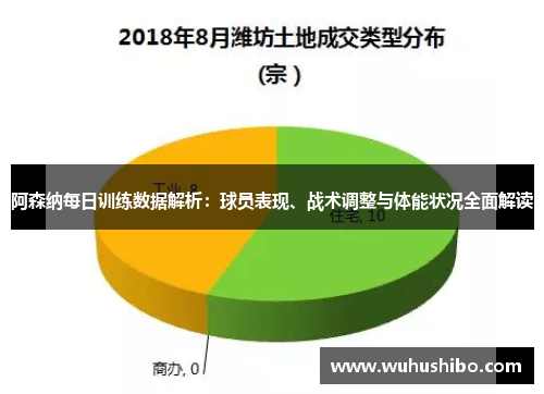阿森纳每日训练数据解析：球员表现、战术调整与体能状况全面解读