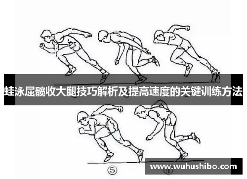 蛙泳屈髋收大腿技巧解析及提高速度的关键训练方法